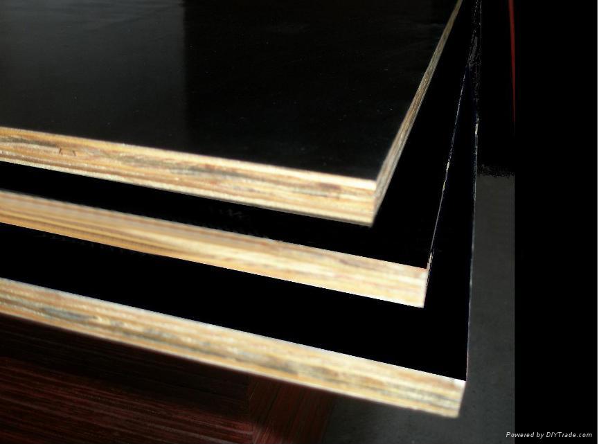 ����鿴��ɫ��Ĥ��Ŵ�ͼƬ