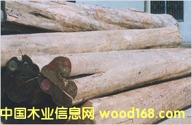 ����鿴��ľ�Ŵ�ͼƬ