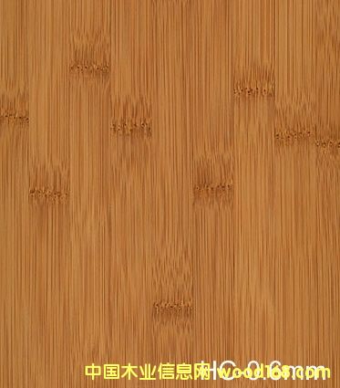 ����鿴����Ƭ�Ŵ�ͼƬ