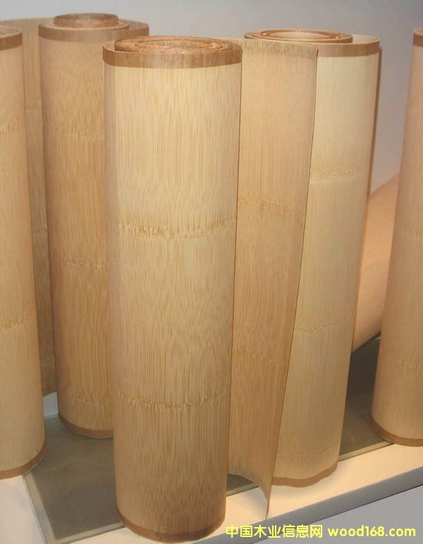 ����鿴��Ƥ�Ŵ�ͼƬ