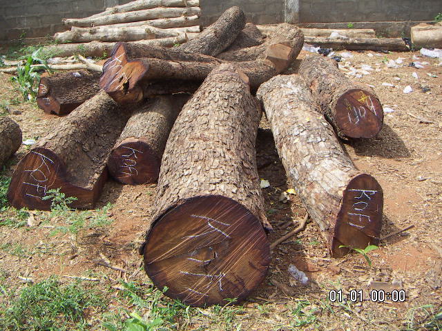 ����鿴�ǻ���/����ľ�Ŵ�ͼƬ