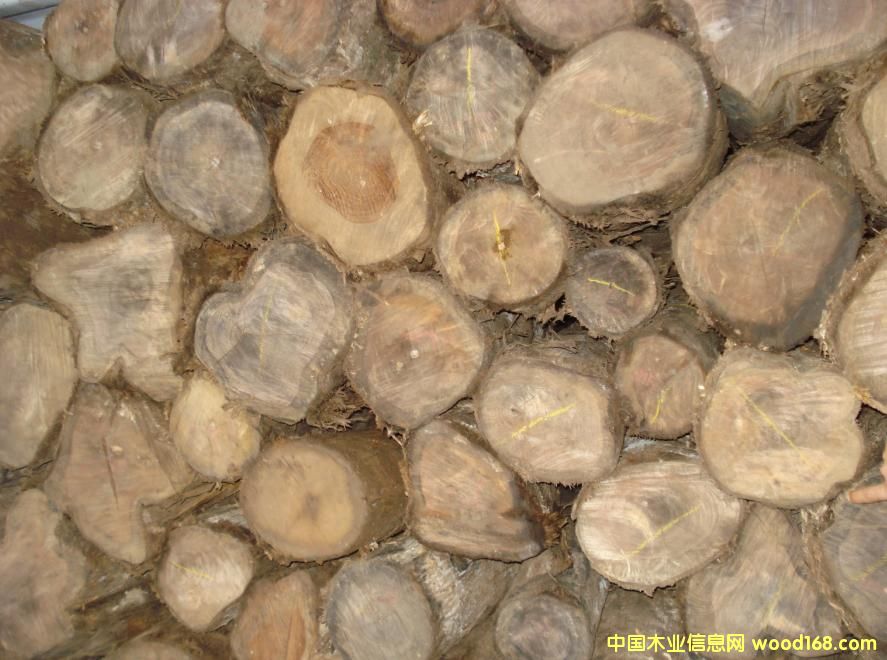 ����鿴������ľ�Ŵ�ͼƬ