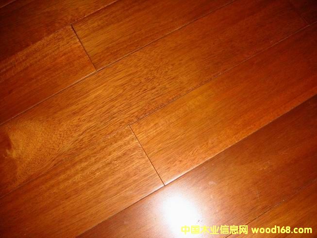 ����鿴��ȩ���Ŵ�ͼƬ