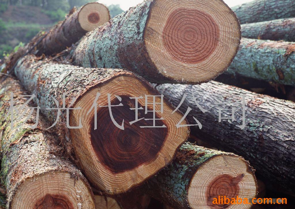 ����鿴ԭľ�Ŵ�ͼƬ