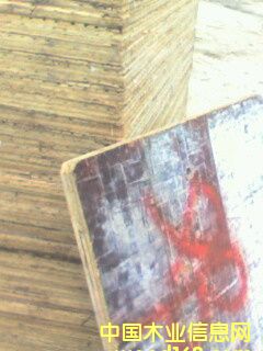 ����鿴����ש�а�Ŵ�ͼƬ