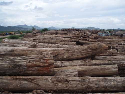 ����鿴ԭľ2�Ŵ�ͼƬ