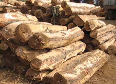 ����鿴ľ��2�Ŵ�ͼƬ