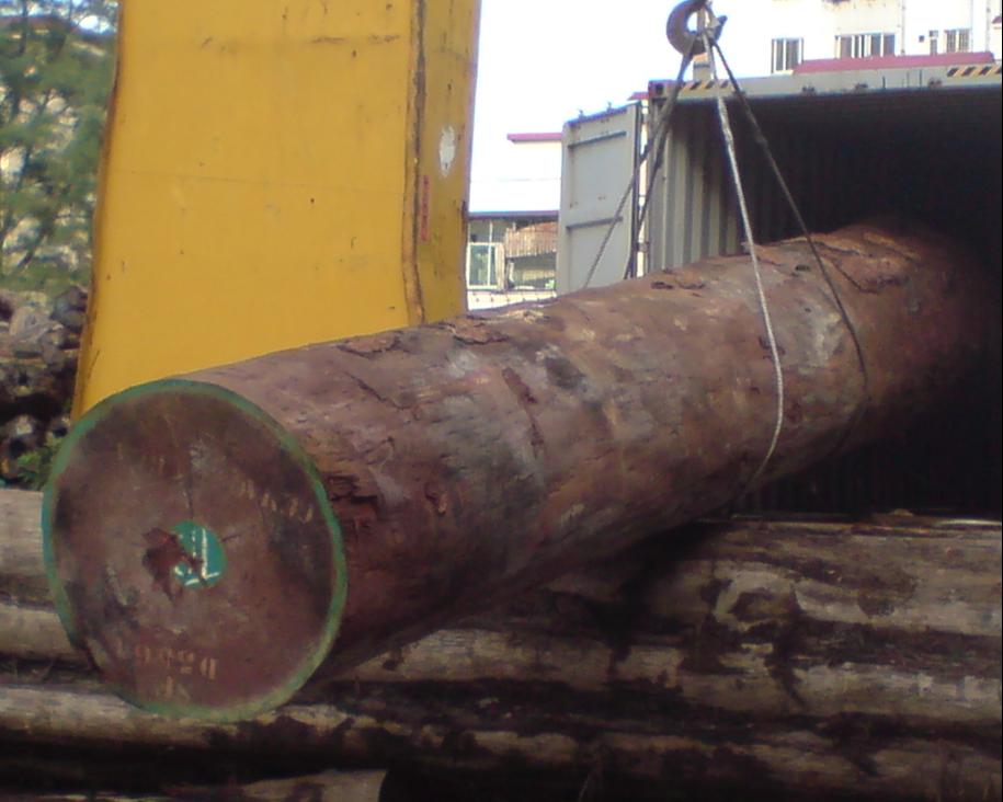 ����鿴ɳ����ԭľ�Ŵ�ͼƬ