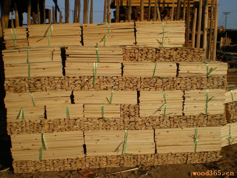 ����鿴ɼľ���ϷŴ�ͼƬ