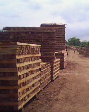 ����鿴ɼľ���ϷŴ�ͼƬ