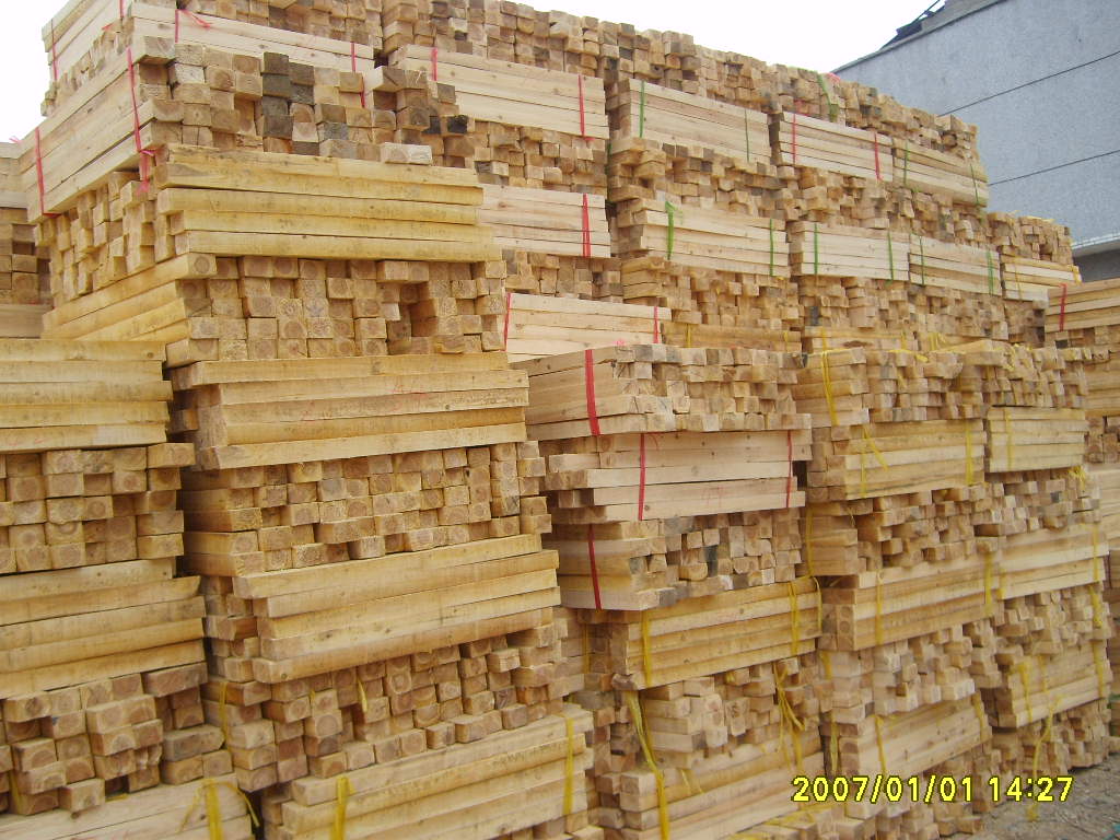 ����鿴ɼľ�Ŵ�ͼƬ