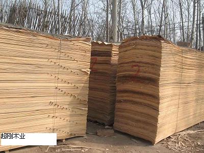 ����鿴��ľ����Ŵ�ͼƬ