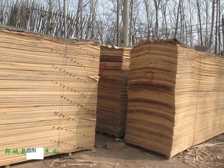 ����鿴��ľ����Ŵ�ͼƬ