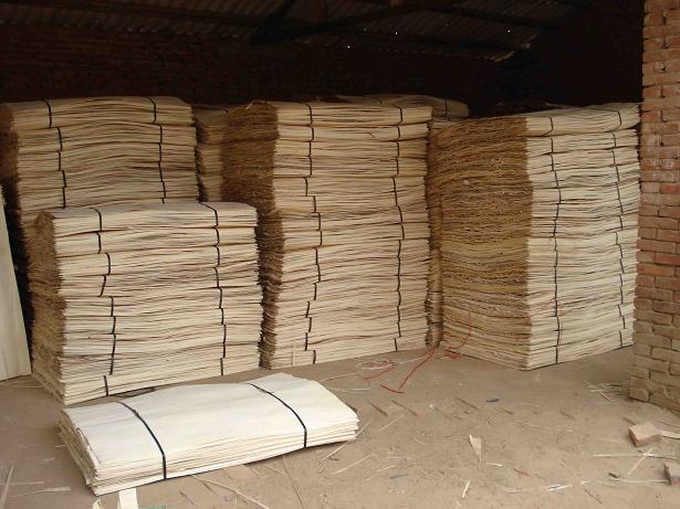 ����鿴��ľ���İ�Ŵ�ͼƬ