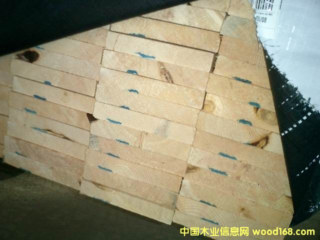 ����鿴ľ�ݷŴ�ͼƬ