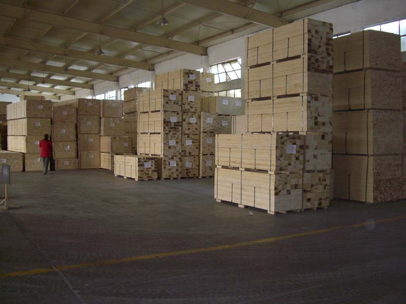 ϰPLYWOOD,LVL,LVB,ٻ壬ʵľҾ