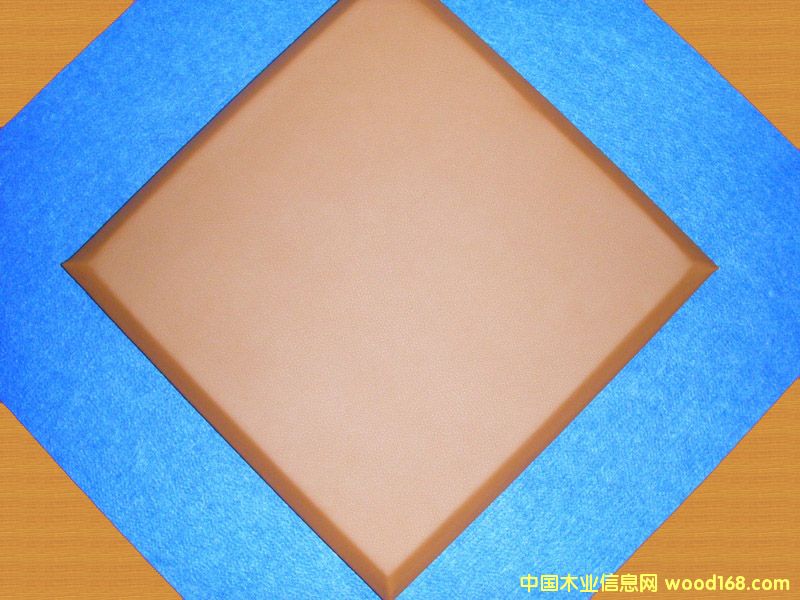 ����鿴Ƥ�����������Ŵ�ͼƬ