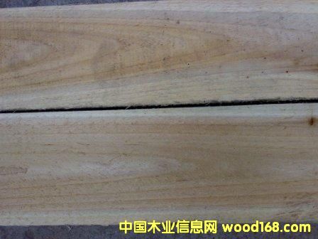 ����鿴ɼľ��Ŵ�ͼƬ