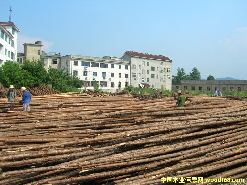 ����鿴ɼľ�Ŵ�ͼƬ