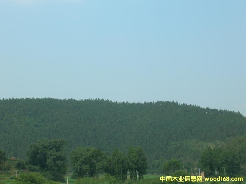 ����鿴ɼľ�Ŵ�ͼƬ