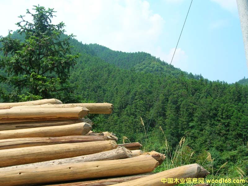 ����鿴ɼľ�Ŵ�ͼƬ