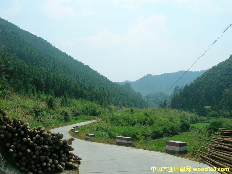 ����鿴ɼľ�Ŵ�ͼƬ