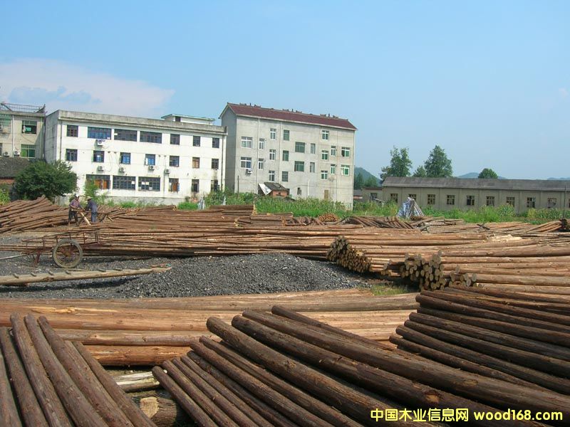 ����鿴ɼľ�Ŵ�ͼƬ