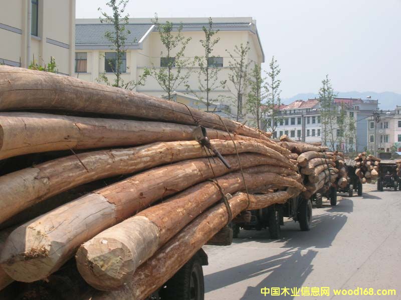 ����鿴ɼľ�Ŵ�ͼƬ