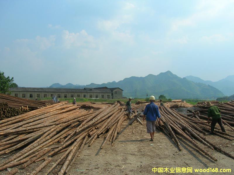 ����鿴ɼľ�Ŵ�ͼƬ