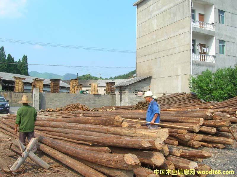 ����鿴ɼľ�Ŵ�ͼƬ