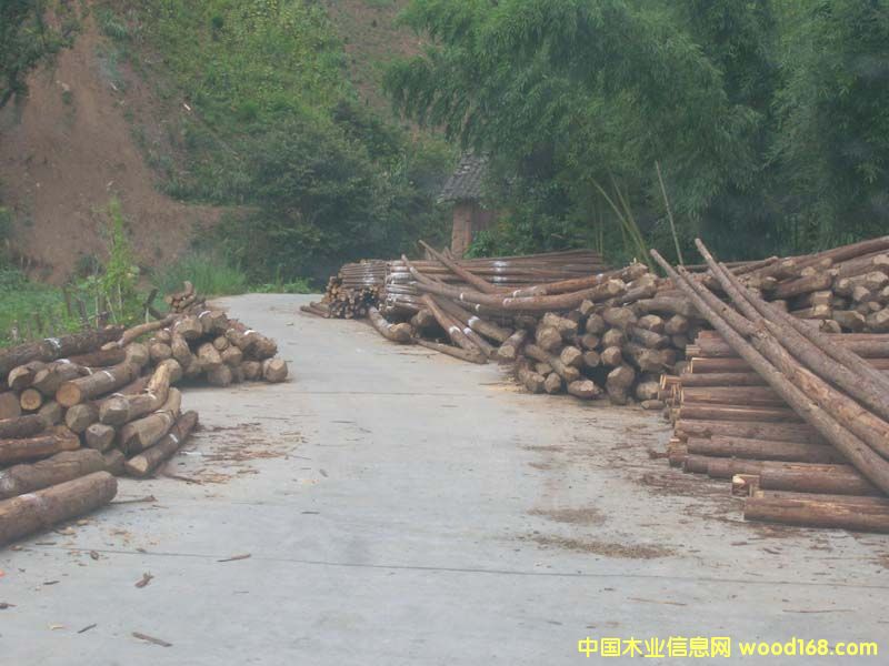 ����鿴ɼľ�Ŵ�ͼƬ