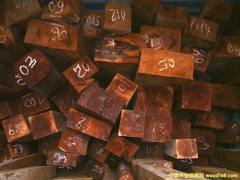 ����鿴ROSEWOOD�Ŵ�ͼƬ