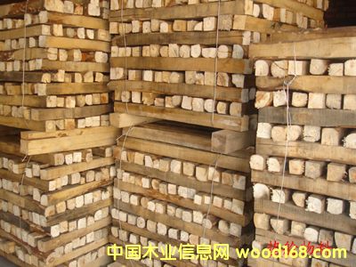 ľ�� �ӵ���ϸ����