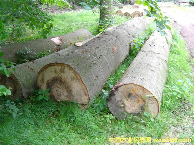 ����鿴�ľԭľ�Ŵ�ͼƬ