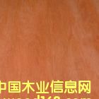 ����鿴���ǹ��Ŵ�ͼƬ