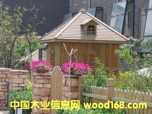 ����鿴����ľ��Ʒ�Ŵ�ͼƬ