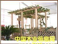 ����鿴���ܷŴ�ͼƬ