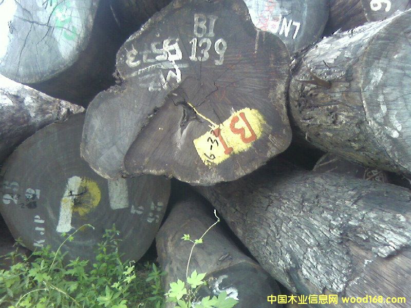 ����鿴ԭľ�Ŵ�ͼƬ