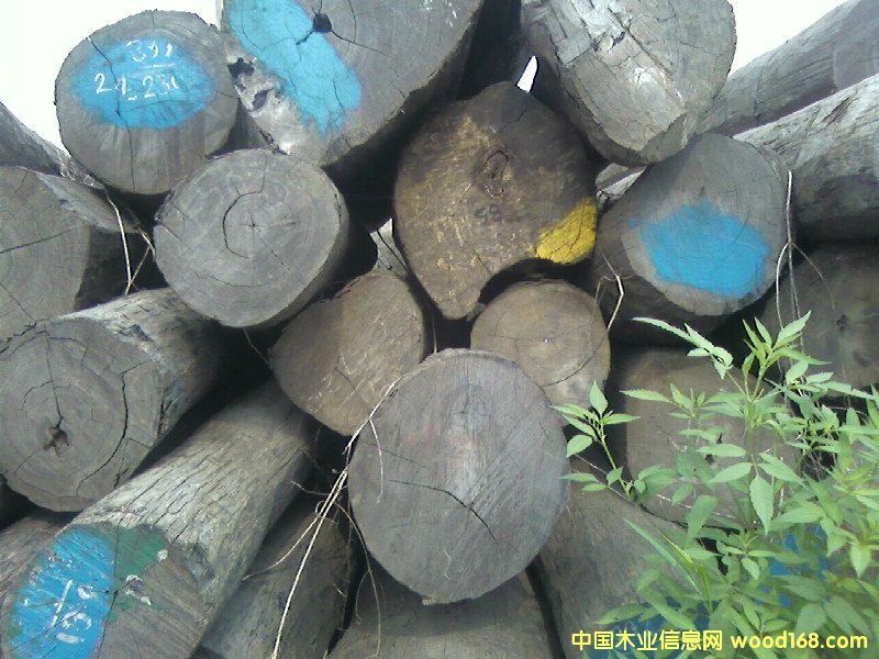 ����鿴ԭľ�Ŵ�ͼƬ