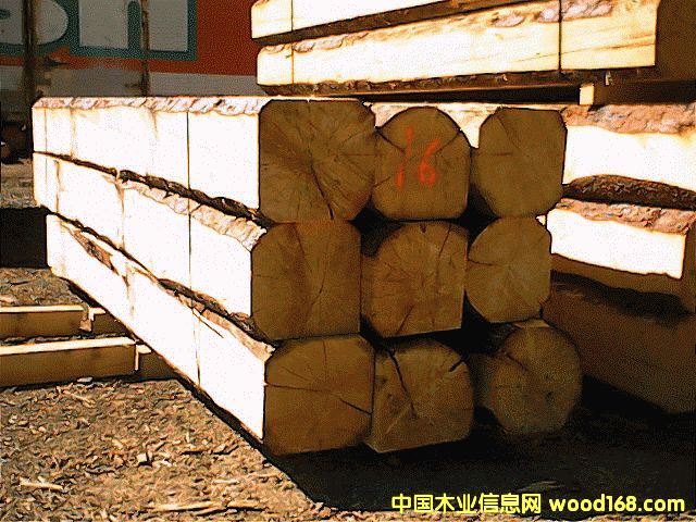 ����鿴���ô�SPF�Ŵ�ͼƬ