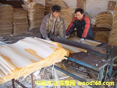 ����鿴��Ƥ�Ŵ�ͼƬ