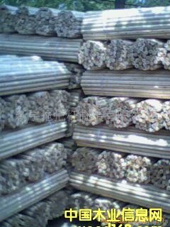 ����鿴ľ��Ŵ�ͼƬ