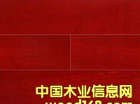 ˾�ֺ�̴����ϸ����