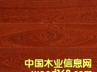 ����ľ����ϸ����