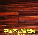 ��̴����ϸ����