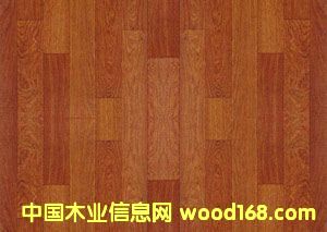 ����鿴���ɲķŴ�ͼƬ