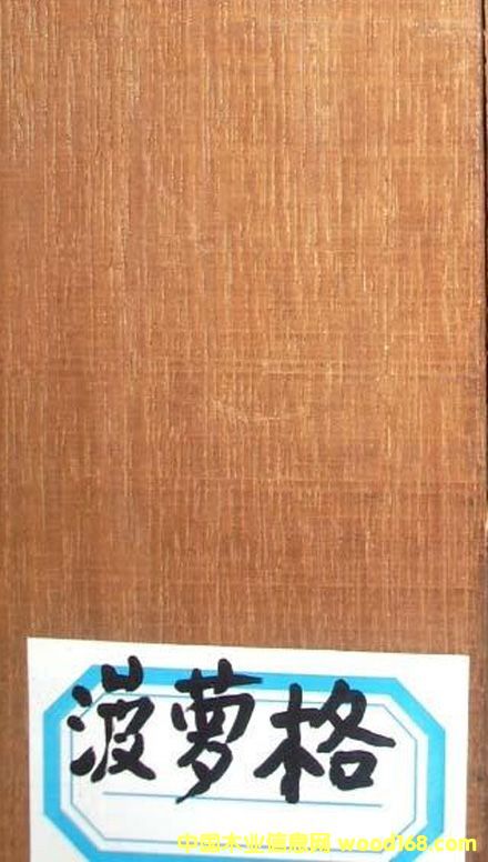 ����鿴���ܸ�Ŵ�ͼƬ