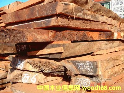 ����鿴��ľ�Ŵ�ͼƬ