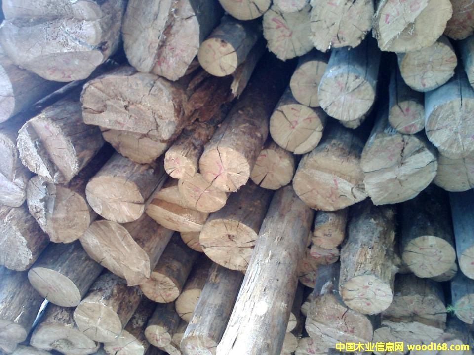 ����鿴�����ϸ�ԭľ����ϸ����