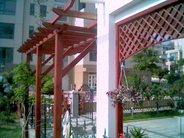 ����鿴ɽ������ľ�Ŵ�ͼƬ